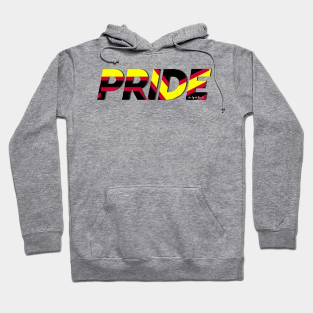 LGBTQ+ PRIDE: Rubber Pride Flag Hoodie by BiLifeClothingCo